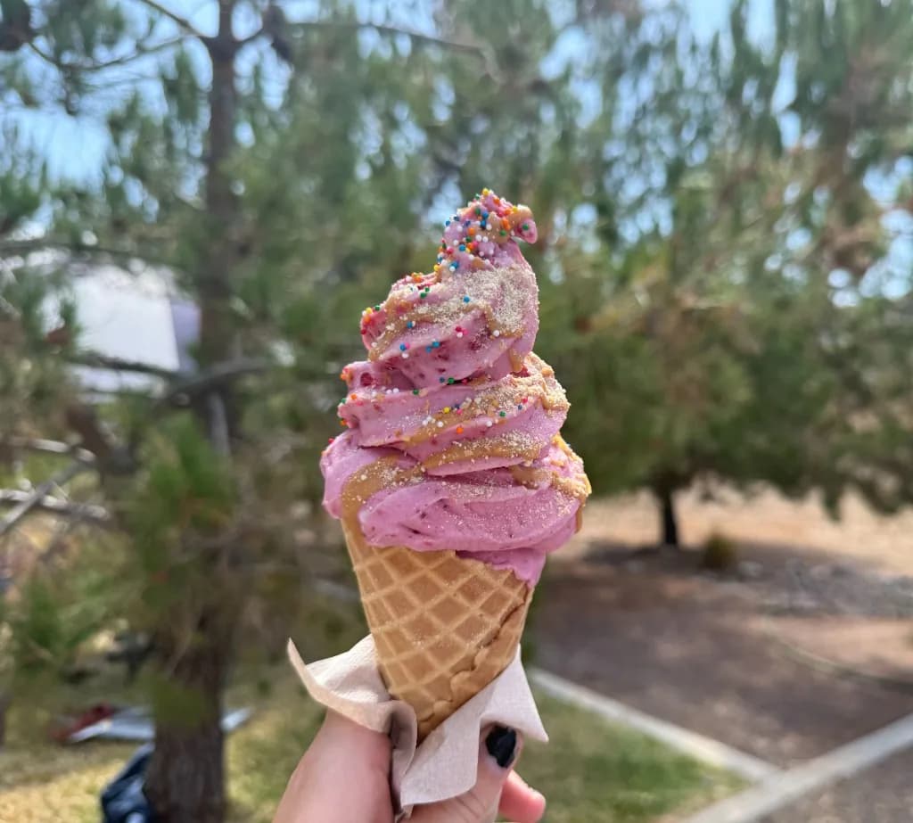 Berry real fruit ice cream cone with sprinkles and caramel, held outdoors