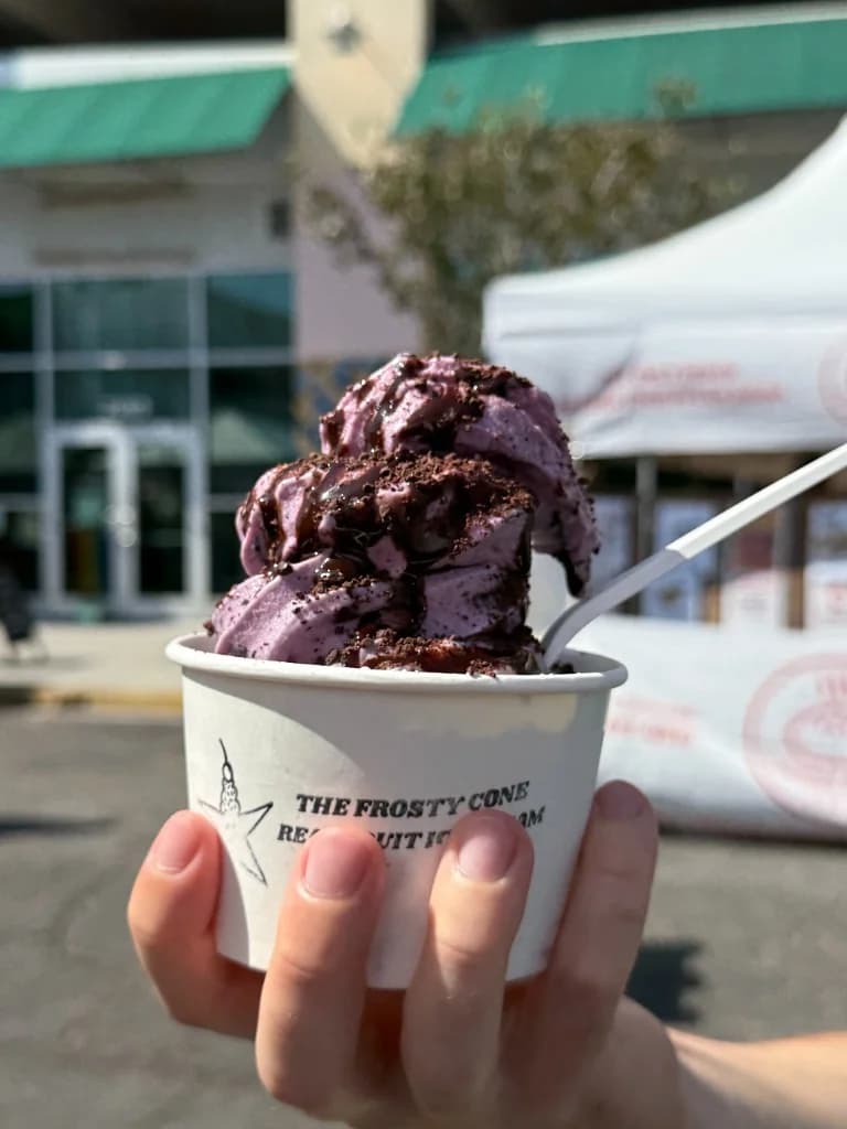 Berry real fruit ice cream in a Frosty Cone cup with chocolate drizzle